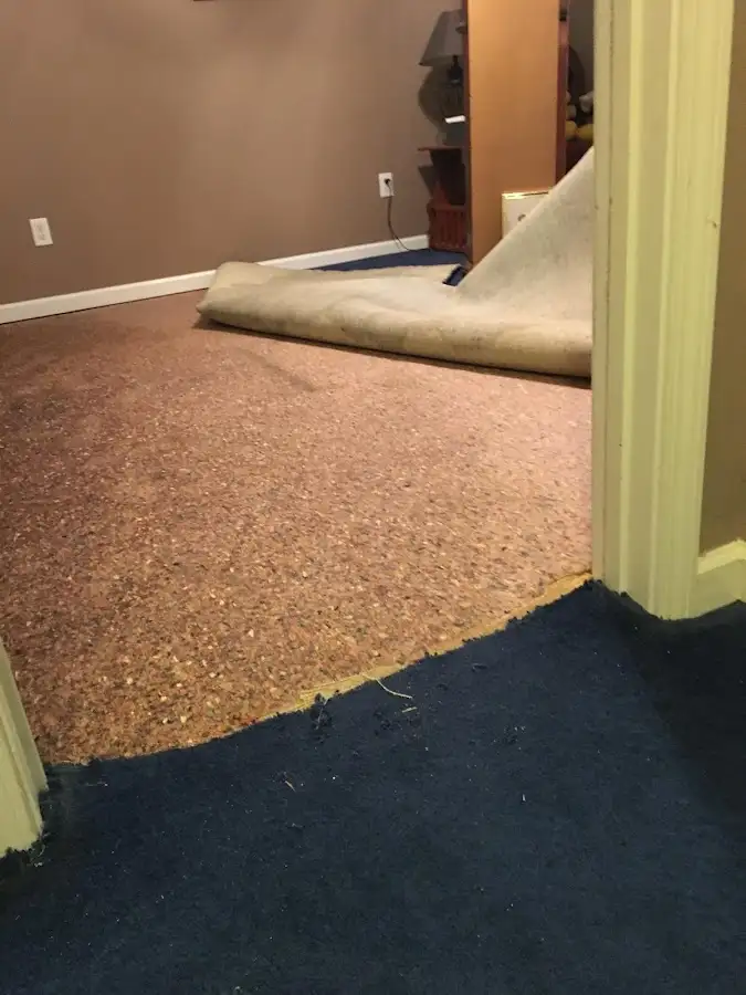 Carpet pad removal revealing water damage during Drying & Dehumidification in Cambridge