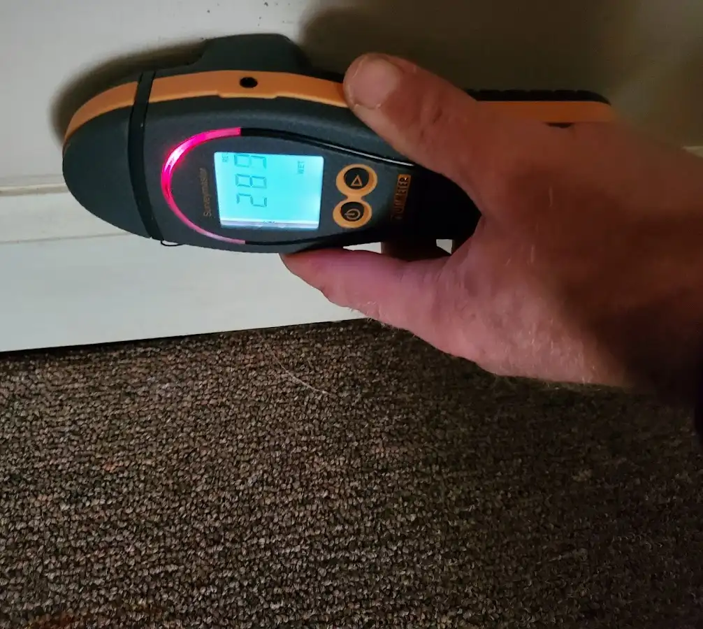 Moisture detection at baseboard during Sewage Cleanup & Sanitation in Cambridge